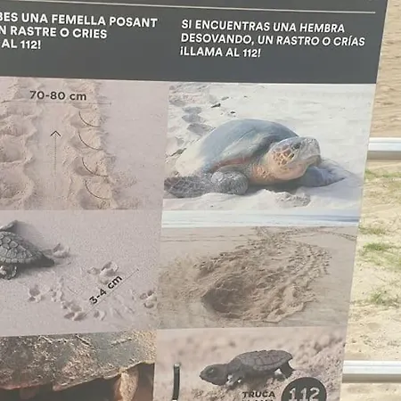 Alma De Mar * La Pineda